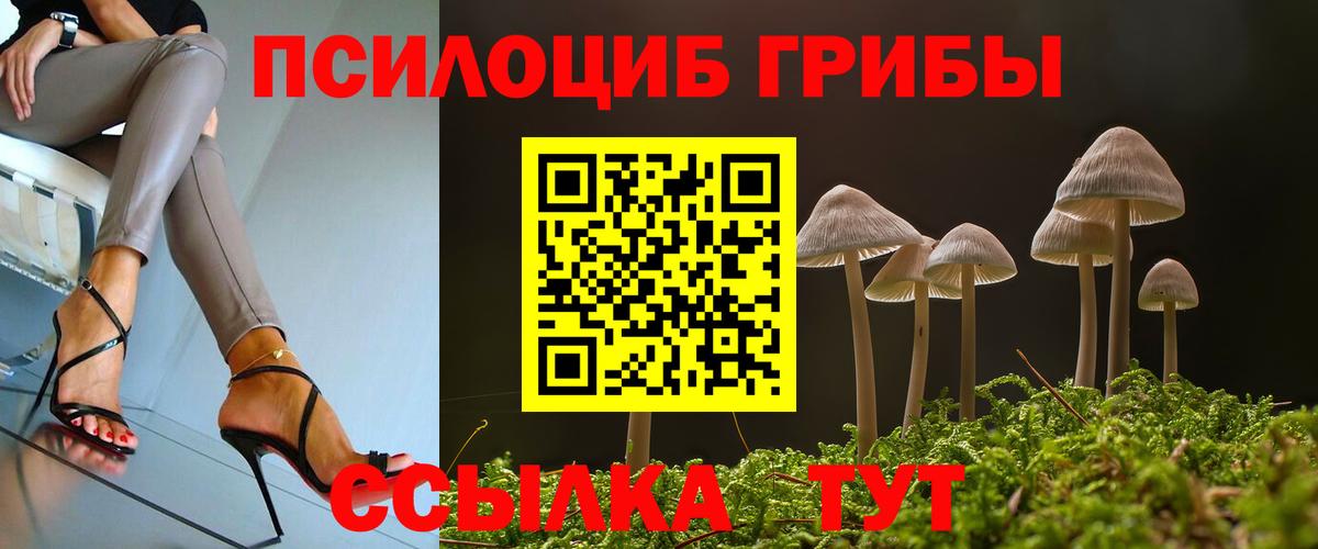Галлюциногенные грибы мицелий  Вход с VPN  Богородск  где купить   Галлюциногенные грибы Magic Shrooms 